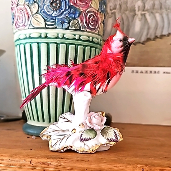 Red 🪭 CARDINAL bird 🌹 - Picture 2 of 10